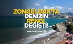 Zonguldak’ta denizin rengi değişti!