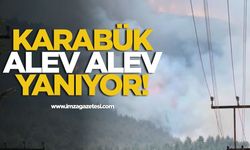 Karabük Arıcak'ta Orman Yangını! Hava Desteği Bekleniyor