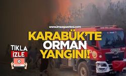 Karabük'te orman yangını!