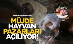 Müjde! Şap hastalığından kapalı hayvan pazarları açılıyor!