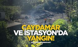 Çaydamar ve İstasyon mevkilerinde yangın!