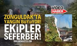 Zonguldak Kilimli'de Orman Yangını!