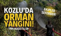 Zonguldak Kozlu'da Orman Yangını! Ekipler Seferber!