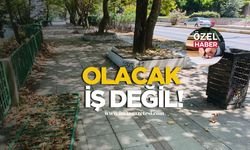 Zonguldak'ta olacak iş değil!