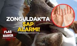 Zonguldak'ta şap alarmı! Karantina uygulaması başlatıldı...