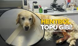 Hentbol Topu Gibi! Şila’nın Ayağından Dev Kitle Çıkarıldı!