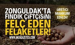 Zonguldak Tarım Raporu: Fındık Üretici Mahkum Edildi!