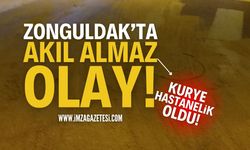 Zonguldak'ta Akıl Almaz Olay: Yola Yağ Döktü!