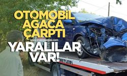 Zonguldak'ta kaza! Otomobil ağaca çarptı yaralılar var