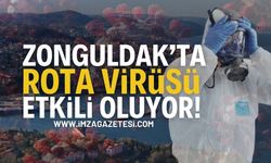 Zonguldak'ta Rota Virüsü Vakaları Artıyor! | Zonguldak haber