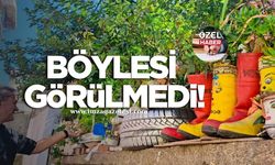 Batı Karadeniz’in incisinde görülmeye değer ilginç çiçek bahçesi!