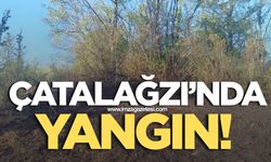 Çatalağzı'nda orman yangını