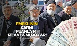 Emeklinin Karnı Planla mı, Pilavla mı doyar. 100 Puanlık Uzmanlık Sorusu?