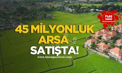 Ereğli’de 45 Milyonluk Arsa Satışa Çıkıyor!