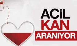 Zonguldak'ta A Rh(+) pozitif kan aranıyor!