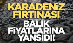 Karadeniz fırtınası balık fiyatlarını artırdı