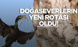 Doğaseverlerin Yeni Rotası... Kozlu Deresi Kuş Kolonisi...