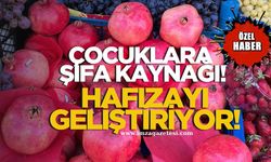 Zonguldak'ta o kraliçe hafızayı geliştiriyor!