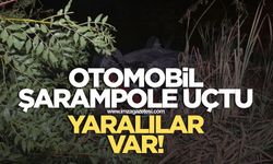 Otomobil şarampole uçtu! Yaralılar var
