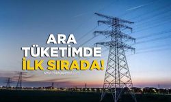TÜİK açıkladı! Elektrik ve Gaz Sektörü Ara Tüketimde İlk Sırada!