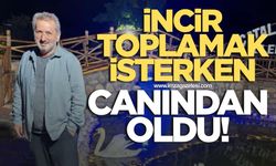 İncir toplamak isterken canından oldu
