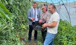 Çaycuma İlçe Tarım Müdüründen Üreticiye Ziyaret...