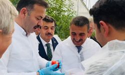 İlk hasat yapıldı, bütün protokol oradaydı!