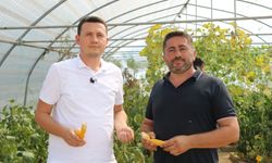 Ereğli Belediyesi Toprağın Saf Mirası Ata Tohumlarını Geleceğe Taşıyor...
