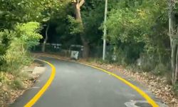 Fener, Yenilen Yol Çizgileriyle Artık Daha Güvenli