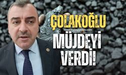 Yerli Kömüre Teşvik Müjdesini Ahmet Çolakoğlu verdi