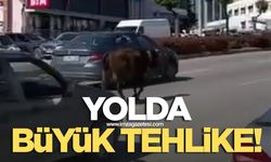 Yolda büyük tehlike