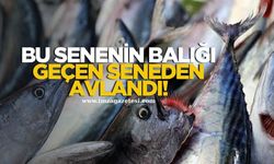 Bu senenin balığı geçen seneden avlandı!