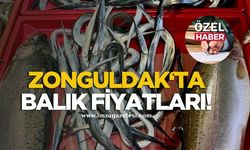 Zonguldak’ta balık fiyatları!