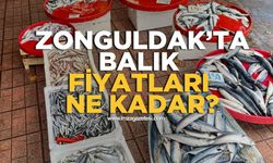 Zonguldak’ta balık fiyatları!