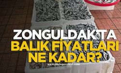 Zonguldak’ta balık fiyatları ne kadar?