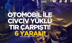 Çaycuma’da Otomobil ile Civciv Yüklü Tır Çarpıştı! 6 Yaralı!