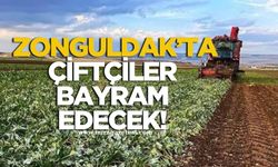 Zonguldak'ta çiftçiler bayram edecek!