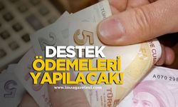 Zonguldak Milletvekili Saffet Bozkurt'tan müjdeli haber!