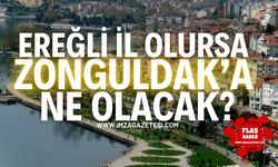 Ereğli il olursa Zonguldak'a ne olacak? Zonguldak köye mi dönecek?