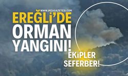 Zonguldak Ereğli'de Orman Yangını: Ekipler Olay Yerinde!