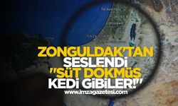 Zonguldak’tan seslendi! Süt dökmüş kedi gibiler!