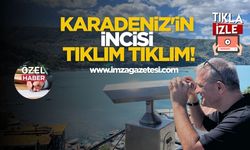 Karadeniz’in incisi tıklım tıklım!