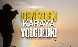 Zonguldak’ta Denizden Karaya Yolculuk!