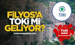 Filyos'a TOKİ mi gelecek? MHP'den TOKİ ve üst-alt geçit çağrısı!