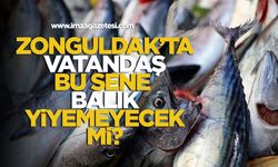Palamutun azlığı, sıcak denizler ve iklim değişikliği av sezonunu vurdu!