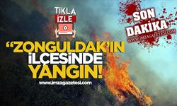 Zonguldak'ın ilçesinde orman yangını!