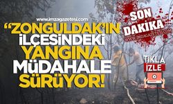Zonguldak'ın ilçesindeki orman yangınına müdahale sürüyor!