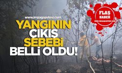 Zonguldak orman yangınının çıkış sebebi belli oldu!