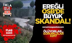 Ereğli OSB'de büyük skandal! Ölüyorlar... Bu felakete kim göz yumuyor?