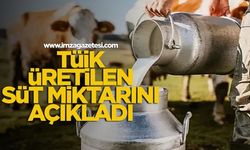 TÜİK, üretilen süt miktarını açıkladı...